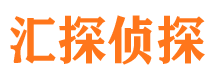 沈河市私家侦探